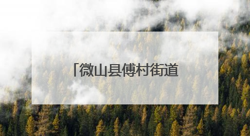 微山县傅村街道开展“音为有你 遇见美好”521主题音乐活动