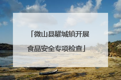微山县驩城镇开展食品安全专项检查