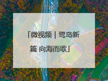 微视频｜鹭岛新篇 向海而歌