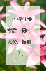 小学毕业考后，何时派位、报到？