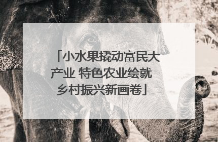 小水果撬动富民大产业 特色农业绘就乡村振兴新画卷