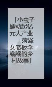 小虫子蠕动起亿元大产业——菏泽女老板李端端的乡村故事