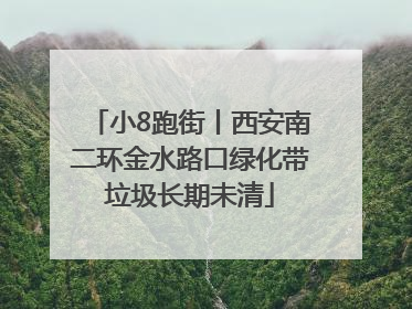 小8跑街丨西安南二环金水路口绿化带垃圾长期未清