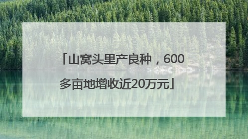 山窝头里产良种，600多亩地增收近20万元