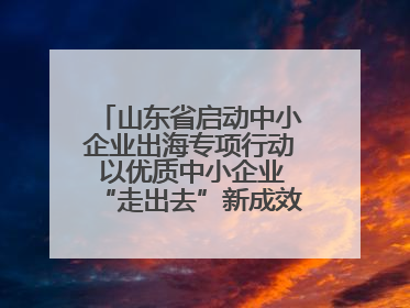 山东省启动中小企业出海专项行动 以优质中小企业“走出去”新成效展示山东产业发展新形象