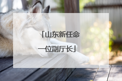 山东新任命一位副厅长