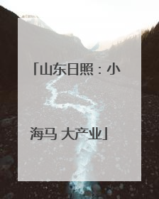 山东日照：小海马 大产业