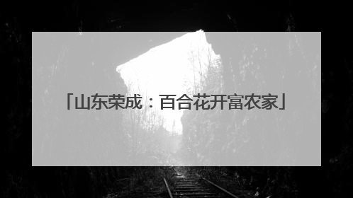 山东荣成：百合花开富农家