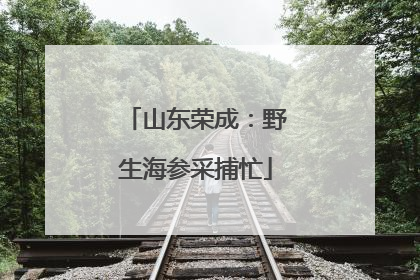 山东荣成：野生海参采捕忙