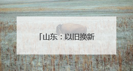 山东：以旧换新释放发展新动能