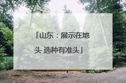 山东：展示在地头 选种有准头