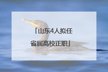 山东4人拟任省属高校正职