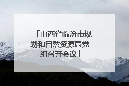 山西省临汾市规划和自然资源局党组召开会议