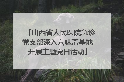 山西省人民医院急诊党支部深入六味斋基地开展主题党日活动