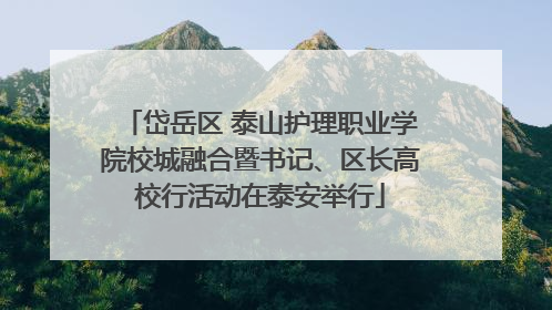 岱岳区 泰山护理职业学院校城融合暨书记、区长高校行活动在泰安举行