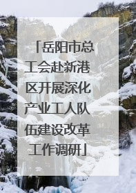 岳阳市总工会赴新港区开展深化产业工人队伍建设改革工作调研