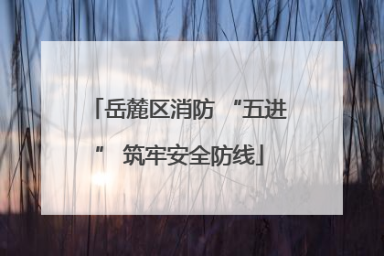 岳麓区消防 “五进” 筑牢安全防线