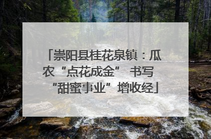 崇阳县桂花泉镇：瓜农“点花成金” 书写“甜蜜事业”增收经