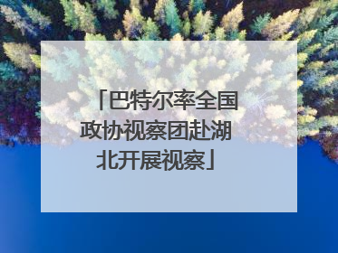 巴特尔率全国政协视察团赴湖北开展视察