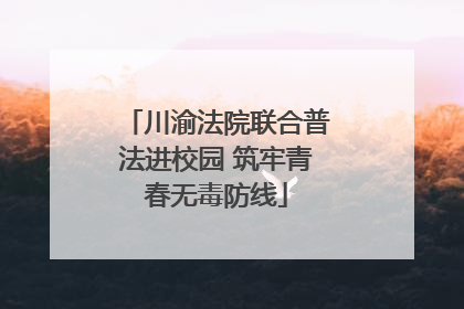 川渝法院联合普法进校园 筑牢青春无毒防线