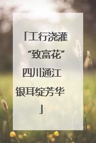 工行浇灌“致富花” 四川通江银耳绽芳华