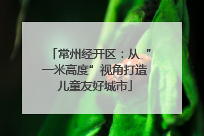 常州经开区：从“一米高度”视角打造儿童友好城市