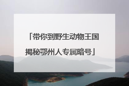 带你到野生动物王国揭秘鄂州人专属暗号