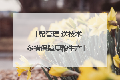 帮管理 送技术 多措保障夏粮生产