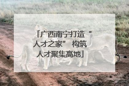 广西南宁打造“人才之家” 构筑人才聚集高地