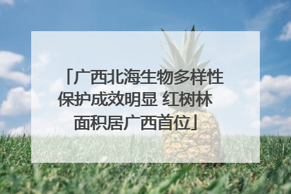 广西北海生物多样性保护成效明显 红树林面积居广西首位
