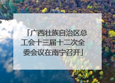 广西壮族自治区总工会十三届十二次全委会议在南宁召开