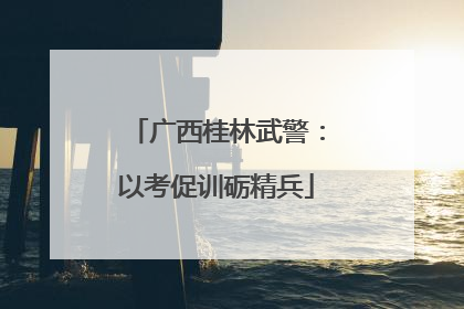 广西桂林武警：以考促训砺精兵