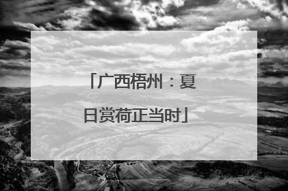 广西梧州：夏日赏荷正当时