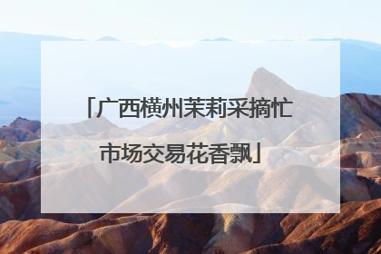 广西横州茉莉采摘忙 市场交易花香飘