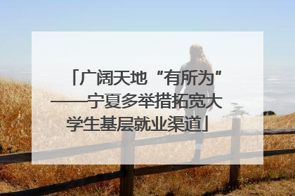 广阔天地“有所为”——宁夏多举措拓宽大学生基层就业渠道