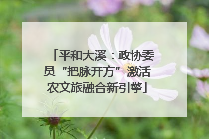 平和大溪：政协委员“把脉开方”激活农文旅融合新引擎