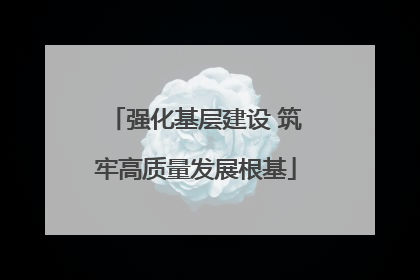 强化基层建设 筑牢高质量发展根基