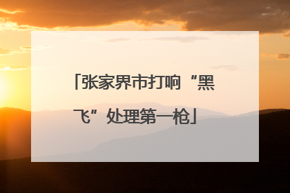 张家界市打响“黑飞”处理第一枪