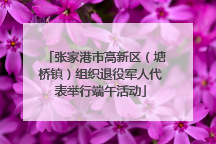 张家港市高新区（塘桥镇）组织退役军人代表举行端午活动