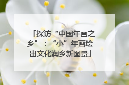 探访“中国年画之乡”：“小”年画绘出文化润乡新图景