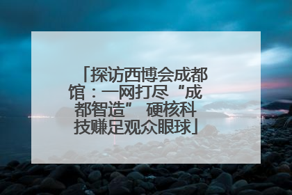 探访西博会成都馆：一网打尽“成都智造” 硬核科技赚足观众眼球
