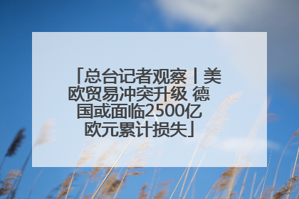 总台记者观察丨美欧贸易冲突升级 德国或面临2500亿欧元累计损失