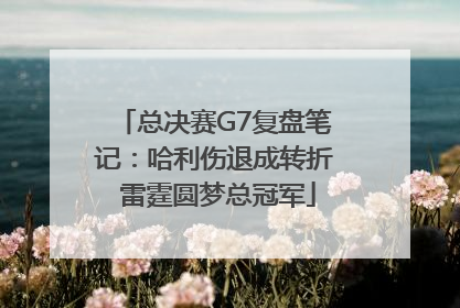 总决赛G7复盘笔记：哈利伤退成转折 雷霆圆梦总冠军