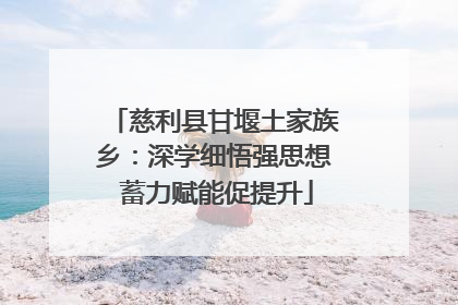 慈利县甘堰土家族乡：深学细悟强思想 蓄力赋能促提升