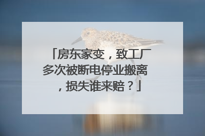 房东家变，致工厂多次被断电停业搬离，损失谁来赔？