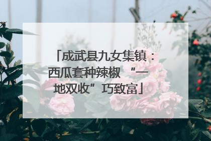 成武县九女集镇：西瓜套种辣椒 “一地双收”巧致富