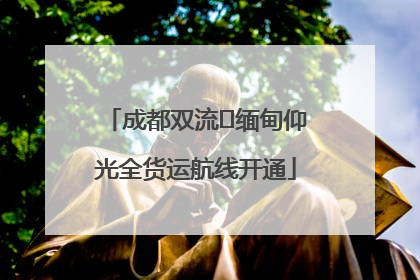 成都双流⇌缅甸仰光全货运航线开通