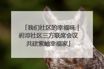 我们社区的幸福味｜碧潭社区三方联席会议共建紫岫幸福家
