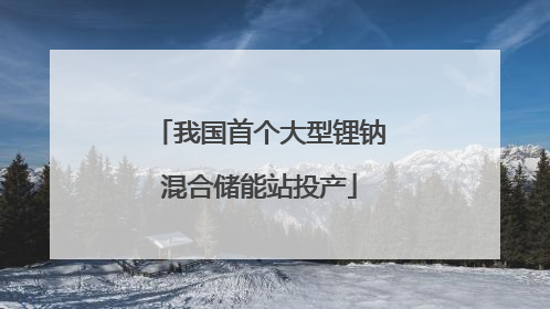 我国首个大型锂钠混合储能站投产