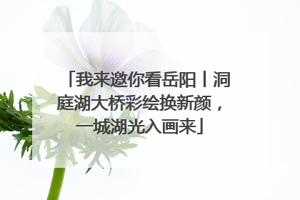 我来邀你看岳阳丨洞庭湖大桥彩绘换新颜，一城湖光入画来